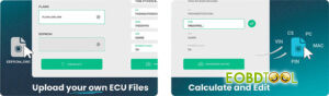 how to use carlabimmo immo bypass software 9