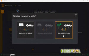 autotuner unlock 2020 06 bmw md1 mg1 ecus tutorial 7